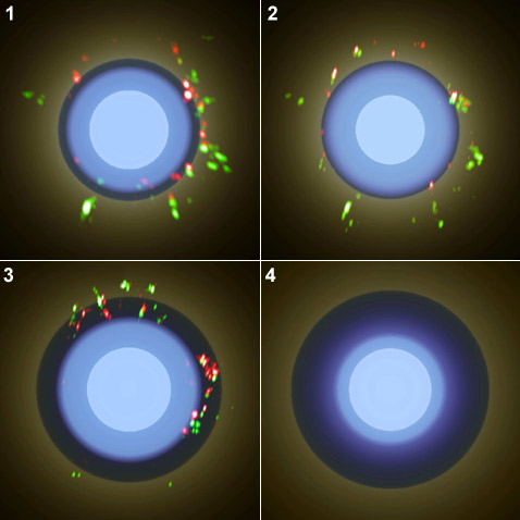 Цикл пульсации S Ori. Светло-голубым цветом показана поверхность звезды. Тёмно-синим выделен молекулярный слой, в котором содержатся частицы оксида алюминия и оксида кремния. Цветные пятна, наложенные на изображение, — это мазерное излучение, зафиксированное радиотелескопами VLBA от "комкообразных" скоплений пыли (зелёные — от Al<sub>2</sub>O<sub>3</sub>, красные — от SiO). Во время расширения во время фаз 1, 2 и 3 слой с частицами этих оксидов не меняет локализации. Однако при сжатии оболочки (4-я фаза) под действием части газа, "убегающего" от звезды, эти пылевые частицы удаляются во внешнее пространство (иллюстрация M. Wittkowski, D. A. Boboltz, K. Ohnaka, T. Driebe, M. Scholz).